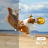 AKIYO O1 bärbar miniprojektor för telefon/surfplatta/dator/PS5, 720p - Bild 2